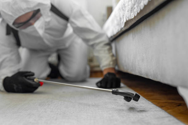 Professional Termite Control technician working in Gumlog, GA