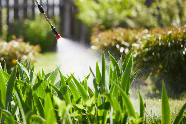 24/7 Emergency Termite Control experts in Gumlog, GA