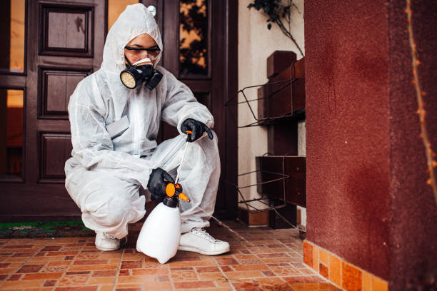 Reliable Termite Control contractor in Gumlog, GA by Nex Pest Control